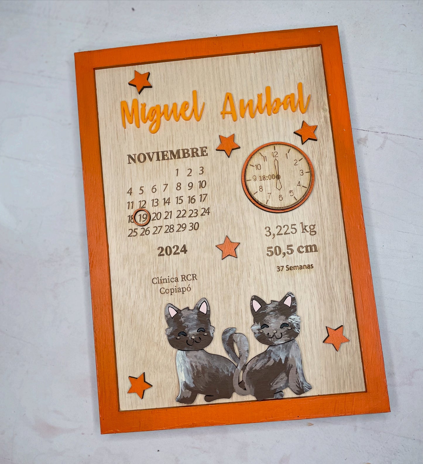 Cuadro con datos de nacimiento modelo gatos