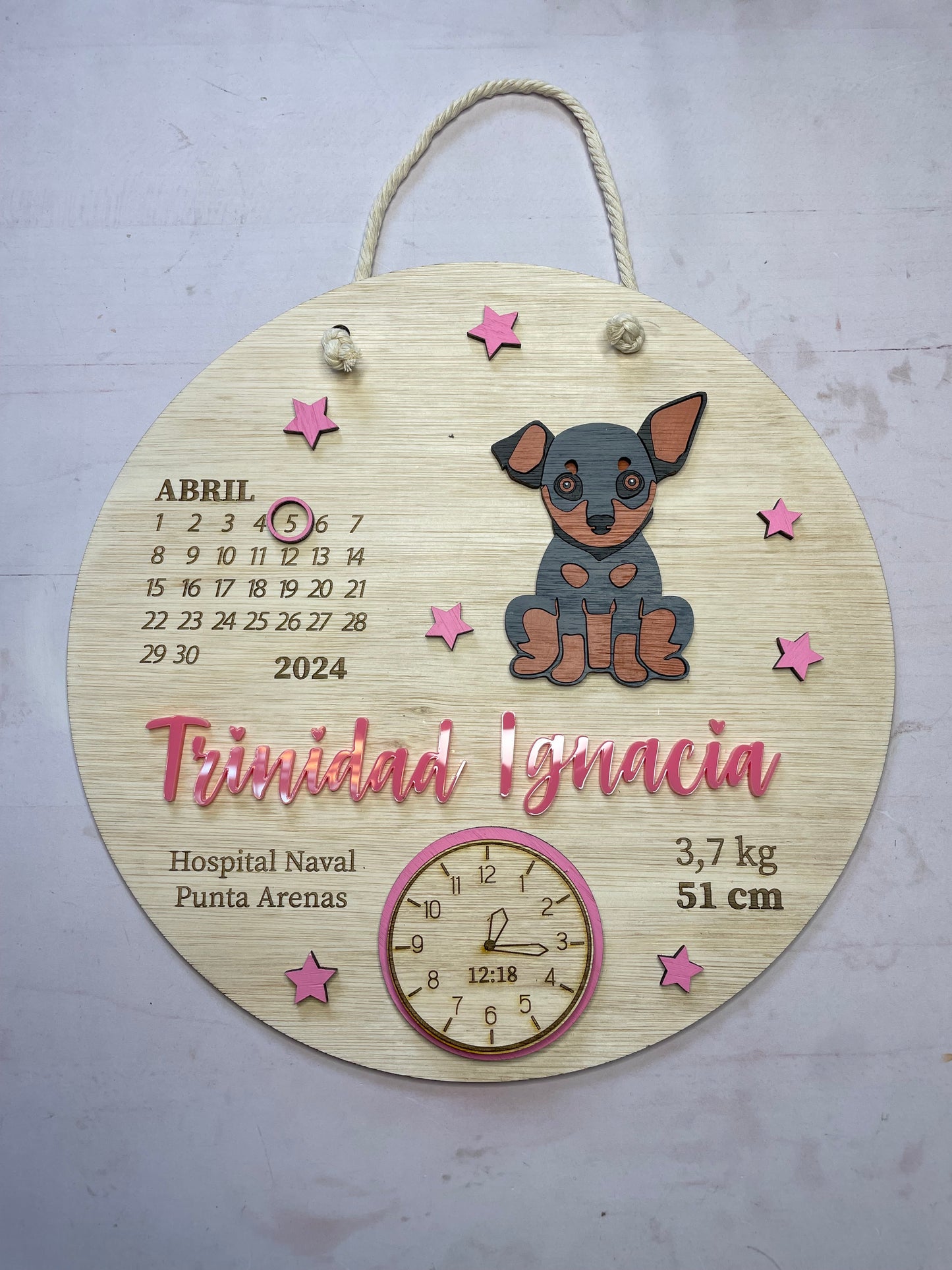 Cartel datos de nacimiento perro pinscher